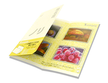 封書タイプ・3面