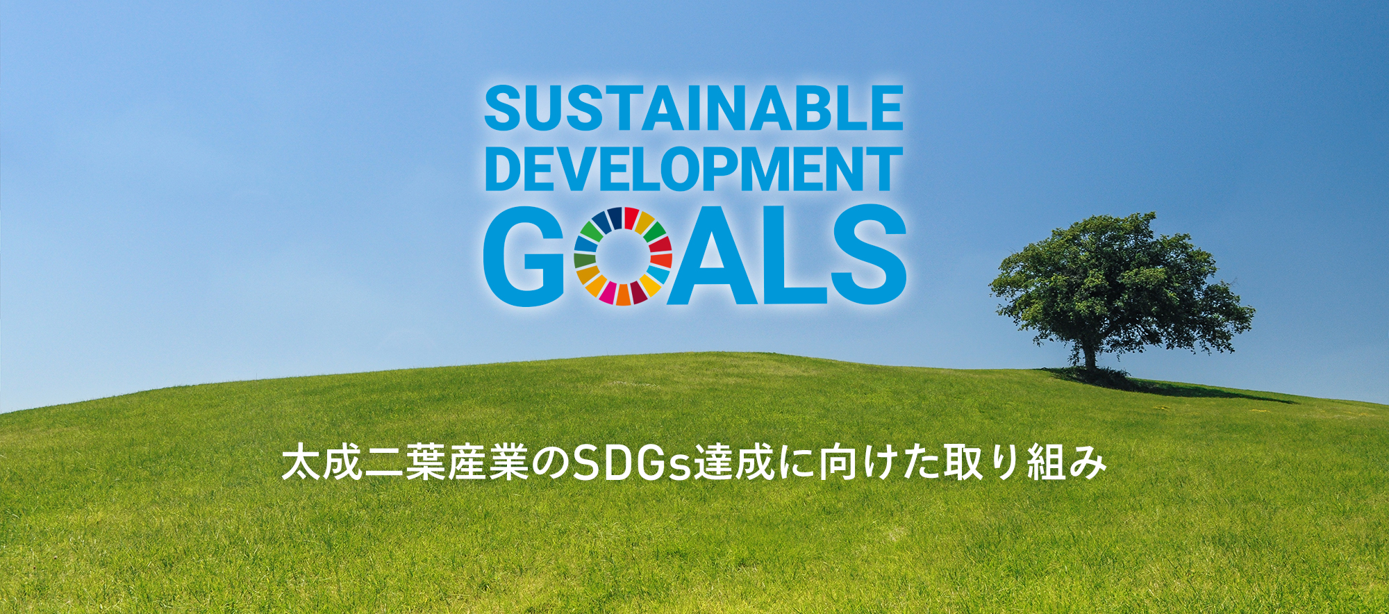 SDGsの取り組み